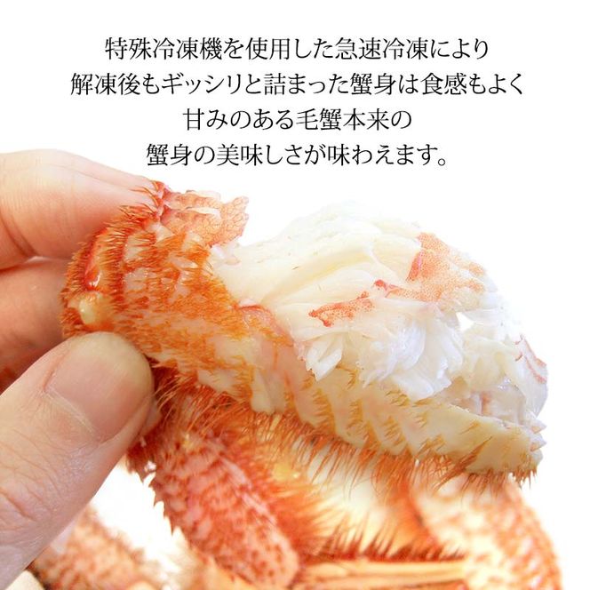 毛ガニ 毛蟹 訳あり 4〜8匹 2.0kg セット 石川県産 茹で蟹 F6P-3034