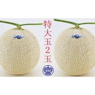 クラウンメロン（白等級）特大玉 ２玉入 果物類 メロン青肉 