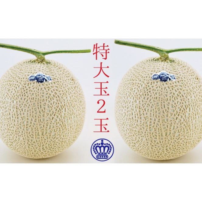 クラウンメロン（白等級）特大玉 ２玉入 果物類 メロン青肉 