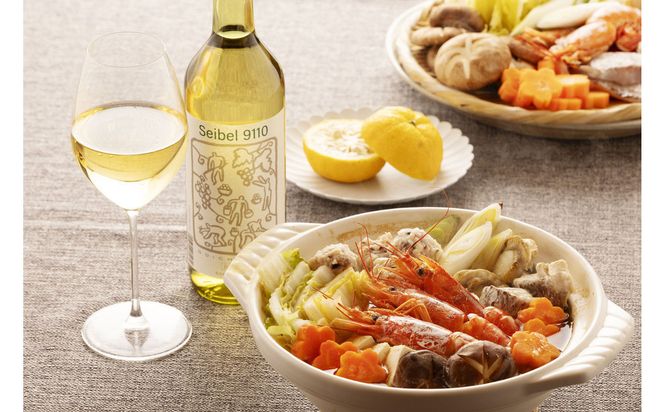 林農園 五一わいん 酸化防止剤無添加 セイベル9110 白 辛口 720ml 2本 発売元 株式会社片山 141305_JN117