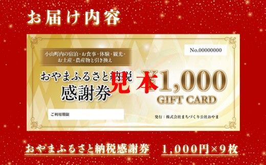 2G17おやま ふるさと納税 感謝券 30,000円分（1,000円券×9枚）