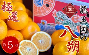 【2027年3月中旬より順次発送】【極選】龍王国の八朔 約5kg  はっさく ハッサク 柑橘 果物 フルーツ 果実 みかん ふるさと納税みかん 美味しい 人気 旬のフルーツ 旬の果物 フルーツギフト 果物ギフト お取り寄せ 香川県 丸亀市