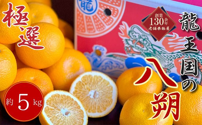 【2027年3月中旬より順次発送】【極選】龍王国の八朔 約5kg  はっさく ハッサク 柑橘 果物 フルーツ 果実 みかん ふるさと納税みかん 美味しい 人気 旬のフルーツ 旬の果物 フルーツギフト 果物ギフト お取り寄せ 香川県 丸亀市