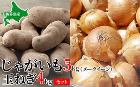 【先行予約】じゃがいも5kg・玉ねぎ4kgセット（メークイン）【十勝幕別 北海道ホープランド農場】 たまねぎ 野菜 詰合せ 