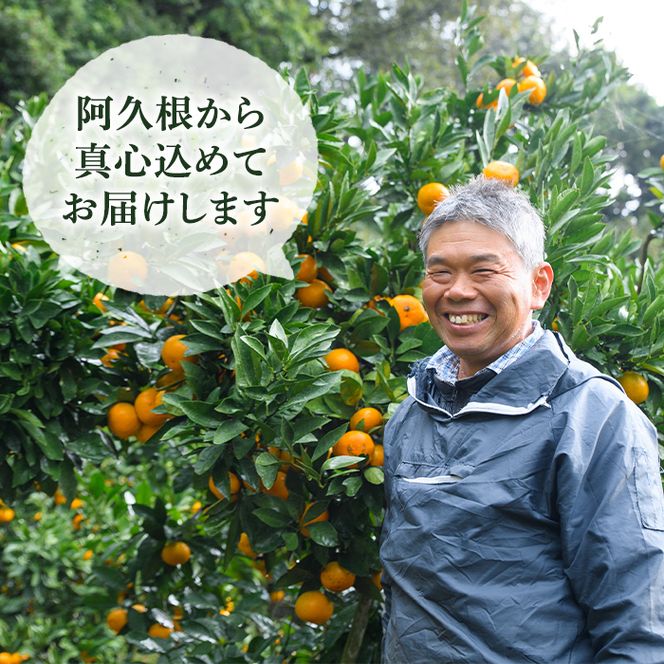 ＜先行予約受付中！定期便・全4回(12月・1月・2月・3月)＞鹿児島県産不知火ざんまい(総量約18kg) 国産 果物 フルーツ 柑橘 旬 しらぬい 定期便 頒布会 シラヌイ 数量限定 期間限定 阿久根市産【三笠農業生産】akn051-15