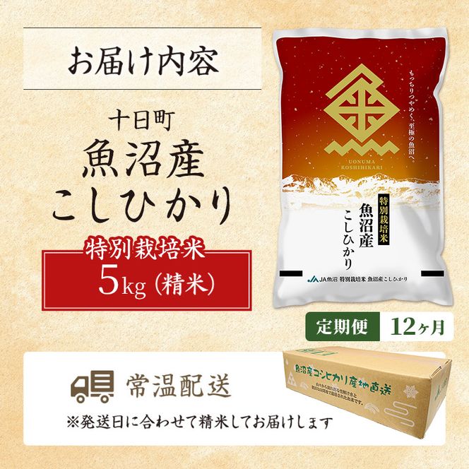 【12ヶ月定期便】特別栽培米 魚沼産こしひかり(十日町地域) 精米 5kg 米 お米 コシヒカリ 定期 十日町市