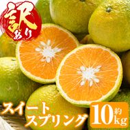 ＜先行予約受付中！2026年12月下旬以降順次発送予定＞訳あり！スイートスプリング(約10kg) 国産 鹿児島県産 阿久根市産 柑橘 みかん 果物 フルーツ デザート ご家庭用 ご自宅用 訳アリ 数量限定 期間限定 スイスプ【有限会社まなべみかん園】akn034-02
