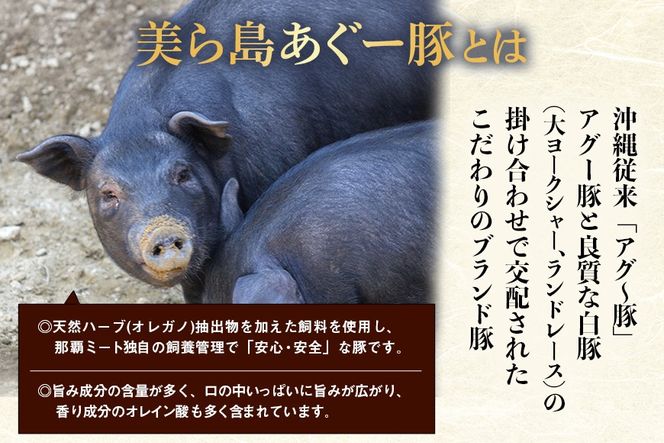 美ら島あぐー ハンバーグ 選べる 8～24個 セット