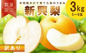 【先行予約／数量限定100】訳あり 新興梨　3kg（2026年10月中旬～発送）ふるさと納税 訳あり フルーツ くだもの 国産 梨 新興梨 わけあり 訳有り ワケアリ 先行予約 ふるさと納税 梨　FK00036