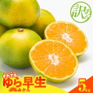 MK1068_【2026先行予約】訳あり ゆら早生 みかん 箱込 5kg ( 内容量 4.4kg ) サイズミックス 有田みかん 和歌山県産