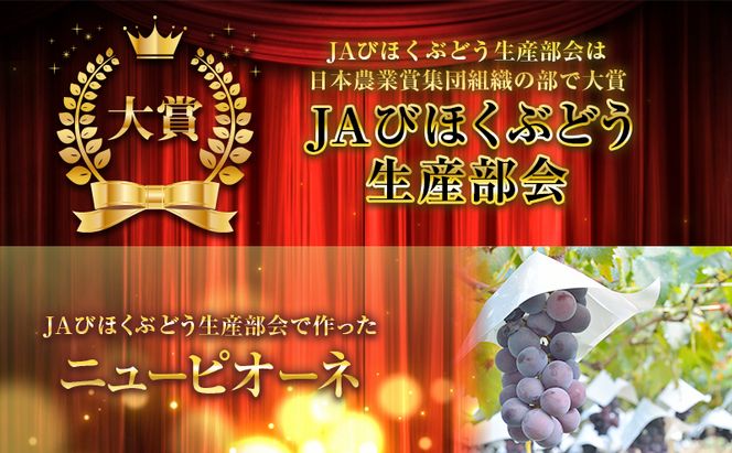 ニュー ピオーネ 約4kg ぶどう 葡萄 フルーツ 岡山 高梁市産 2026年 先行予約 果物類 果物 