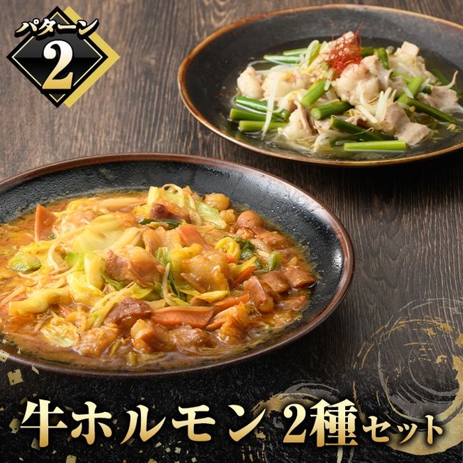 ＼テレビで紹介されました！／国産牛ホルモン2種セット(合計2kg) 国産 特産品 牛 小腸 味付 パック 詰め合わせ 詰合せ 炒め物 鍋 モツ おかず お弁当【スターゼン】akn031-01