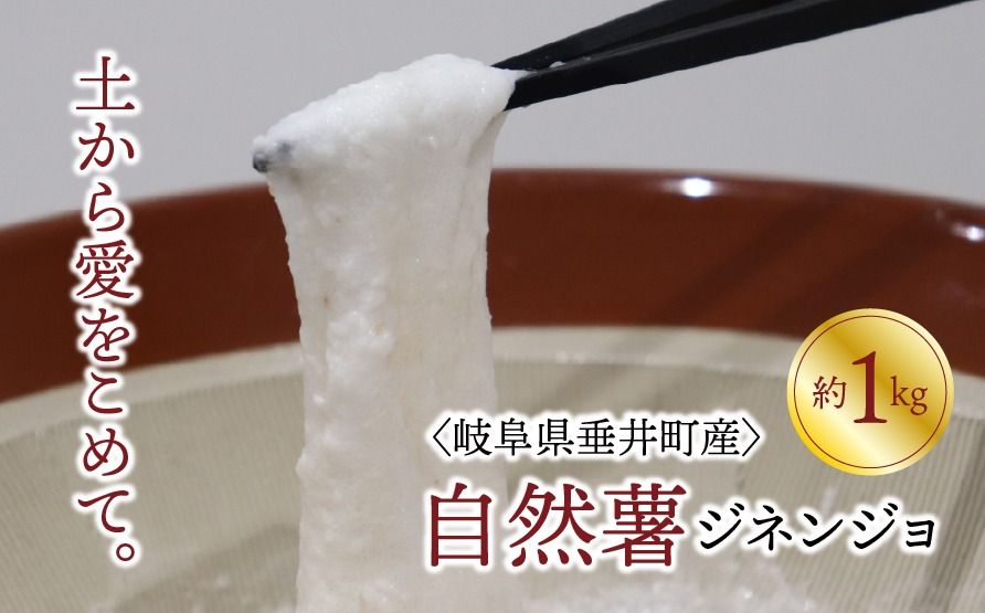 AI-1-R7-z [岐阜県垂井町産]自然薯(ジネンジョ) 約1kg 化粧箱入り