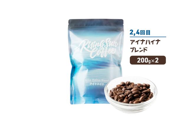 豆ワイプアウトブレンド 200g×2 or アイナハイナブレンド 200g×2交互　定期便各2回　合計4回 コーヒー 珈琲 オリジナル 飲み比べ SUNNY 坂口憲二 九十九里町 千葉県