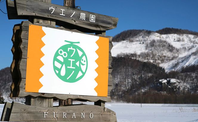 ＜2026年発送＞ 富良野産 “朝もぎ” ホワイトコーン「雪の妖精」10本 LLサイズ とうもろこし コーン