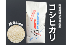 【令和7年産米】新潟県村上市 岩船産コシヒカリ 精米 10kg×1袋　1100001