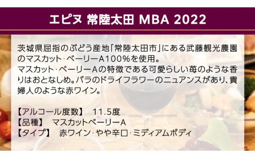 【 数量限定 】「 エピヌ 」 常陸太田 MBA 2022 茨城県産 牛久醸造場 日本ワイン 赤ワイン マスカット・ベーリー 750ml × 1本 やや辛口 ミディアムボディ お酒 贈り物 [BJ045us]
