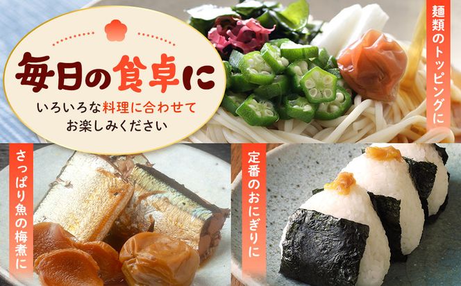 訳あり 紀州南高梅 小梅 まごころ はちみつ梅 90g ×4パック 減塩5％ ［TR9w］ 304018_CS021