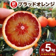 【2027年先行予約】《訳あり 家庭用》ブラッドオレンジ 約5kg（S～2Lサイズ混合）_EQ6012