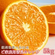 【ご家庭用訳アリ】紀州有田産清見オレンジ　5kg