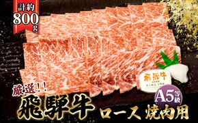 店主こだわり雌牛 飛騨牛A5等級　ロース　焼肉用　約800g [No.065]