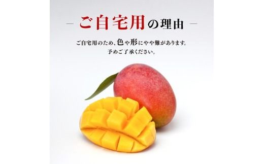 マンゴー 【令和8年発送】宮崎県産ご自宅用完熟マンゴー　2玉　900g以上 【 果物 フルーツ マンゴー 宮崎県産 完熟マンゴー みやざきマンゴー 先行予約 】 [B03204]
