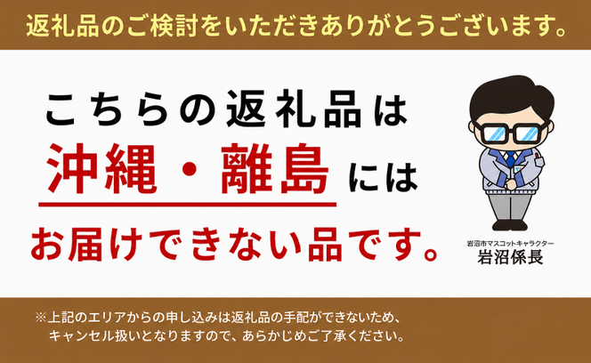 宮城県 岩沼産 産地直送 朝どれ 新鮮野菜 4～5種類 詰め合わせセット