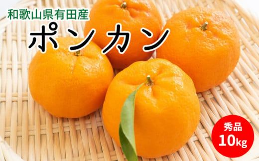 U6227n_【2027年先行予約】ポンカン 秀品 約10kg 和歌山県有田産