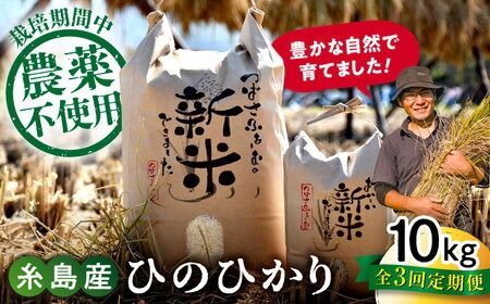 【全3回定期便】 糸島産 雷山のふもとの米 農薬不使用 10kg 糸島市 / ツバサファーム[ANI006] 