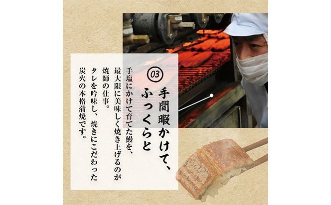 【志布志市人気No.1お礼の品】霧島湧水鰻の蒲焼き 160g以上×4尾＜計640g以上＞ b3-018
