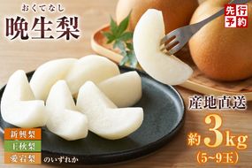 【2026年産 先行予約】【晩生梨 品種 （新興梨 王秋梨 愛宕梨のいずれか）3kg（5～9玉）】【令和8年10月中旬以降発送予定】 晩生品種 新興・王秋・愛宕 梨 なし ナシ 和梨 フルーツ 大人気 人気 甘い みずみずしい 果実 果物 新鮮 旬の果物 おすすめ ランキング 国産 香住 贈り物 贈答 ギフト 秋 冬 兵庫県 香美町 香住 JAたじま 11000円 12-06
