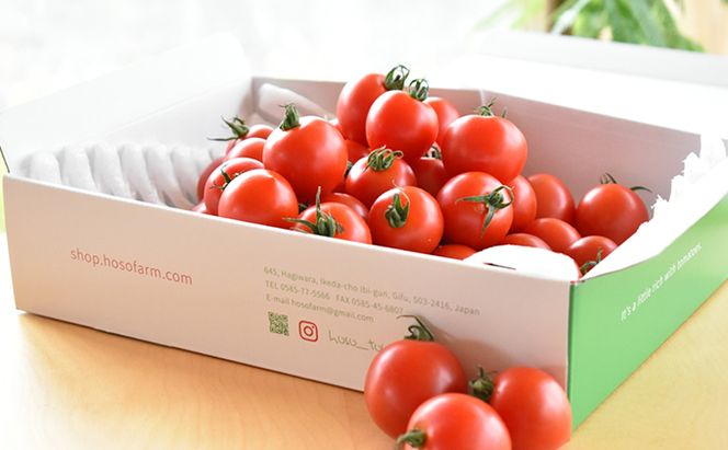 細野ファームの中玉トマト　フルティカ（3kg） 野菜 とまと 