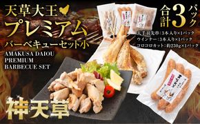 天草大王プレミアムバーベキューセット（小） 計3パック 天草大王 焼鳥 手羽先 串 ウインナー コロコロカット