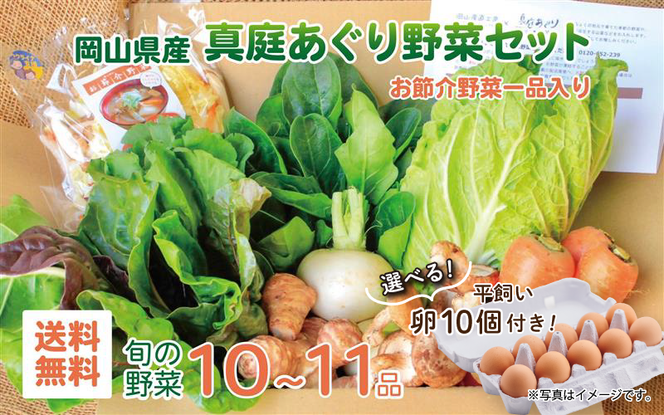 まにわの野菜 真庭あぐり野菜セット 10～11品 カット野菜入り 平飼い卵付き / 詰め合わせ 産地直送 岡山県 真庭市 新鮮 あぐりガーデン 産直工房 国産【配送不可地域：北海道／沖縄県／離島】【jujy055-01】