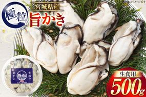 【期間限定発送】 宮城県産 むき身 極粒旨かき 生食用 500g ×1p[丸壽阿部商店 宮城県 南三陸町 m304bir010001] かき カキ 牡蠣 生牡蠣 貝 魚介類 剥き身 むき身 殻なし 冷蔵 新鮮 なべ カキフライ 牡蠣ご飯 濃厚