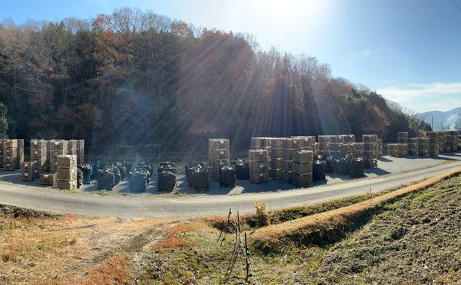 薪 キャンプ の 焚火 、 ストーブ ・ 暖炉 用に最適な 乾燥薪 18～20kg 日用品 ナラ クヌギ カシ 雑貨 焚火、ストーブ 暖炉用 