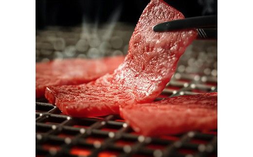 【ひょうたんや】近江牛焼肉カット6種盛り合わせ（500g）【E038W】（国産牛　和牛　ブランド牛　ブランド和牛　黒毛和牛　牛肉　肉　高級　人気　おすすめ　神戸牛　松阪牛 に並ぶ 日本三大和牛 近江牛）
