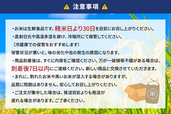 【予約】令和8年度産 静岡産 にこまる 玄米 定期便 10kg×6カ月 米 コメ にこまる 袋井市 静岡県