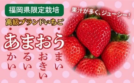 【先行予約受付中・2024年1月下旬より順次発送】【農家直送！】 糸島産 あまおう 280g × 4パック (GおよびSサイズ) 糸島市 / 後藤農園 [AML003] いちご 福岡 ランキング 上位 人気 おすすめ