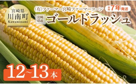 [令和7年発送]宮崎県産とうもろこし ファーマー宮崎 ファーマーコーン「ゴールドラッシュ」12〜13本[ 先行予約 数量限定 とうもろこし 2025年発送 トウモロコシ スィートコーン 期間限定 先行受付 ] [D09001]