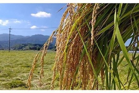 【 糸島 飲み比べ 】 糸島 純米 70 720ml ・ 糸島 芋焼酎 900ml ・ いとしま甘夏の酒 720ml 《糸島》 【蔵屋】 [AUA010]