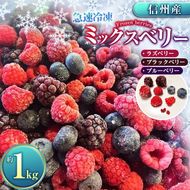 ベリー ミックス 信州 伊那産 冷凍 ミックスベリー 1kg 国産 ベリー 3種 ：ラズベリー ・ ブラックベリー ・ ブルーベリー | 果物 フルーツ ベリー 手摘み 急速冷凍 木の実 スムージー ビタミンC 長野県 伊那市 【025-33】