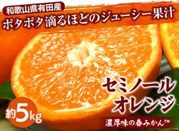 セミノールオレンジ[約5kg] 和歌山県有田産 春みかん 【果実サイズおまかせ】｜和歌山県産 柑橘 フルーツ 紀伊国屋文左衛門本舗