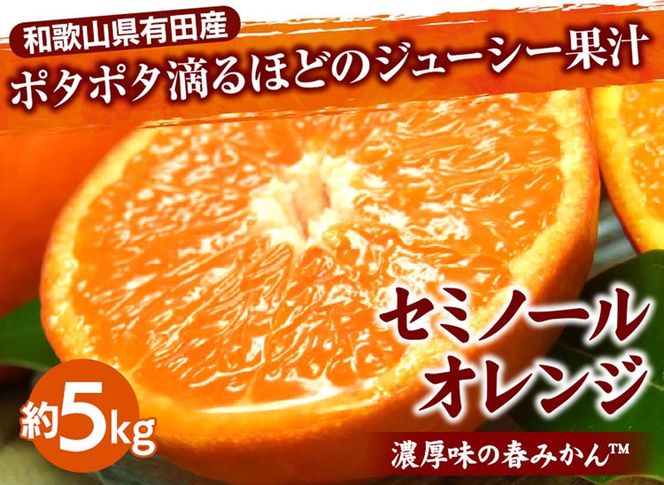 セミノールオレンジ[約5kg] 和歌山県有田産 春みかん 【果実サイズおまかせ】｜和歌山県産 柑橘 フルーツ 紀伊国屋文左衛門本舗