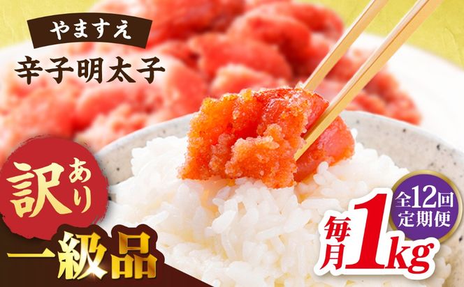 【 全12回 定期便 】 【 訳 あり 】 辛子明太子 1kg × 12回 《糸島》【やますえ】[AKA043]