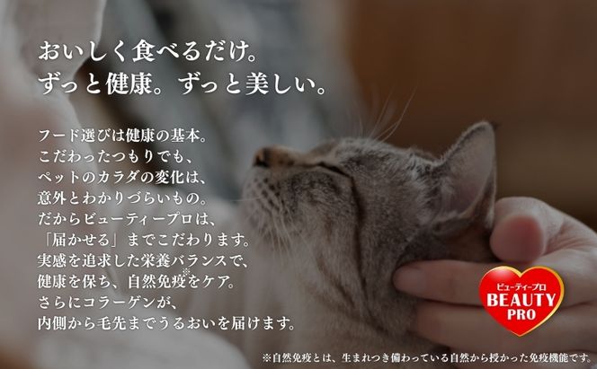 日本ペットフード ビューティープロ キャット 避妊・去勢後用 1.4kg（280g×5袋入）×8袋（ケース） キャットフード