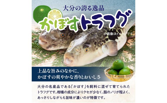 【E05027】かぼすトラフグ うす引き・チリセット（33cm皿）【12月～2月までお届け】
