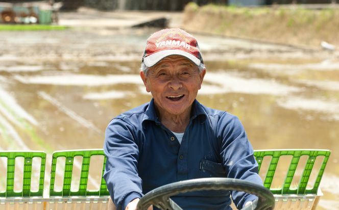 《令和7年産》 熊本県八代市産 鶴喰米 くまさんの力 精米 10kg 米 お米 精米 白米 ごはん ご飯 熊本
