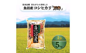 令和8年産　先行予約　【数量限定】定期便/全3回　 従来品種 魚沼産コシヒカリ 5kg 〈令和8年10月下旬～発送予定〉
