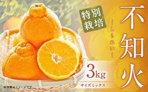 【先行受付】特別栽培不知火 3kg サイズミックス 不知火 しらぬい  柑橘 果物 みかん フルーツ デザート【2027年3月上旬から4月上旬発送予定】